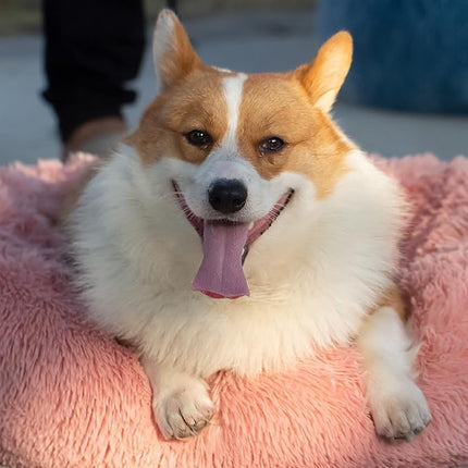 Pink Dog Bean Bag Bed - Washable, Fits Medium Dogs Up to 45 lbs