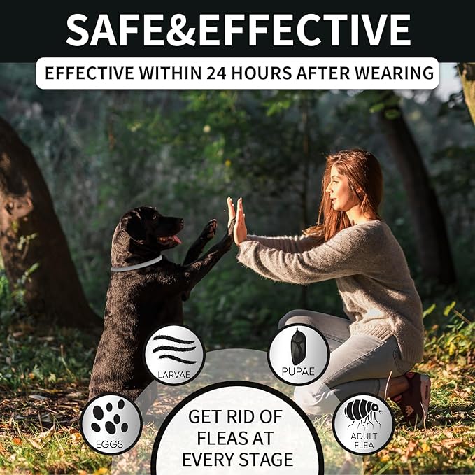 4 Pack Flea Collar for Dogs, Dog Flea and Tick Collar 32 Months Flea and Tick Treatment for Dog, Waterproof Adjustable Dog Flea and Tick Prevention Collar for Small Medium Large Dog Puppy, Black Grey
