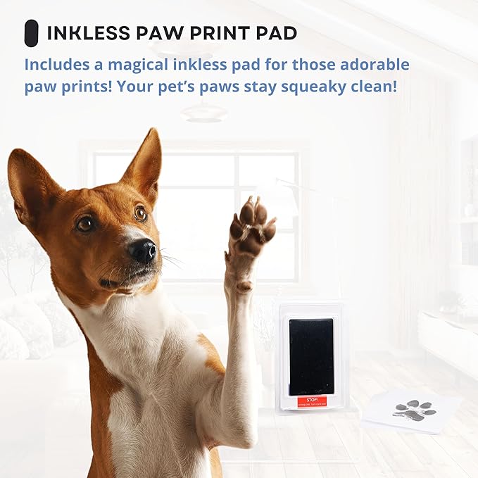 Memorial Picture Frame, 4 Customizable Displays, 9x9, Paw Print Kit for Dogs, Dog Memorial Gifts for Loss of Dog, Loss of Pet Sympathy Gift, Pet Paw Print Impression Kit