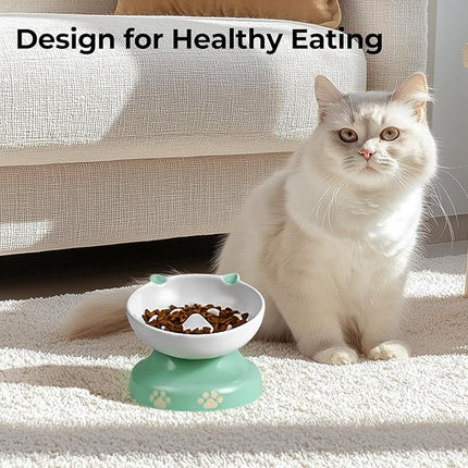 Y YHY Slow Feeder Cat Bowl, Ceramic Elevated Cat Bowl Tilted Design Slow Feeder for Dog and Cat for Dry and Wet Food, Green