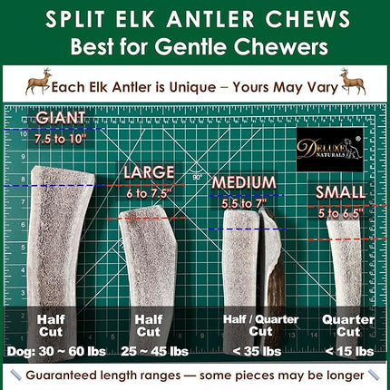 Elk Antler Dog Chews | Long-Lasting A-Grade Premium Elk Antler Chews for Dogs from Naturally Shed Elk Antlers Collected in The USA, Split, Medium (Pack of 4)