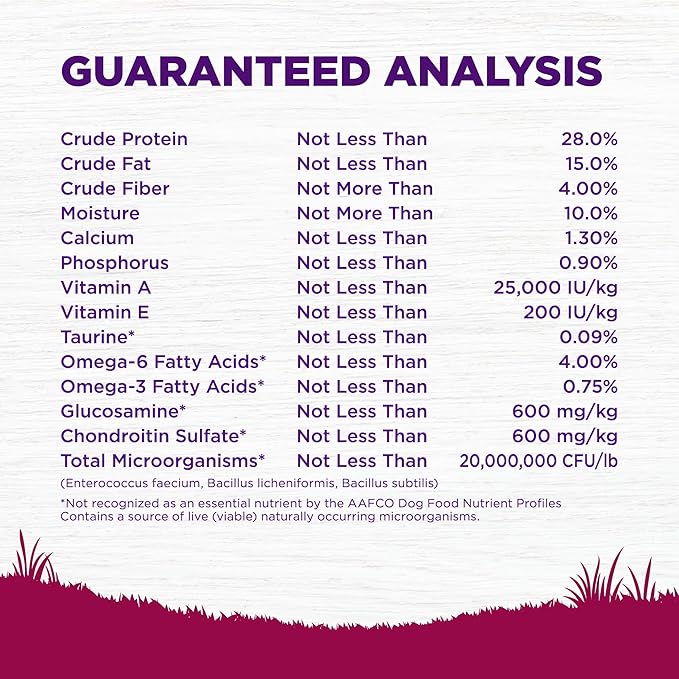 Wellness Complete Health Small Breed Adult Dry Dog Food with Grains and Real Turkey, Natural Ingredients, Omega Fatty Acids, and Probiotics, Made in USA (12-Pound Bag)”