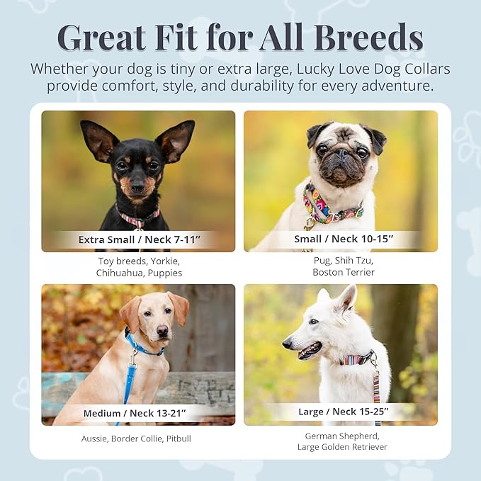 Lucky Love Dog Collar, Beautiful & Vivid Pattern Medium Boy Dog Collars, Easy On & Off Clasp Accessory (Blue Laguna, M)