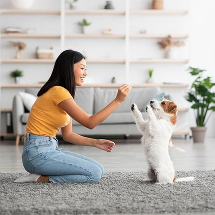 Exclusively Dog Best Buddy Bits Training Treats for Dogs and Puppies - All Natural, Baked in The USA, Ideal for Training & Agility, No Animal Byproducts - Cheese Flavor, 5.5oz Resealable Bag