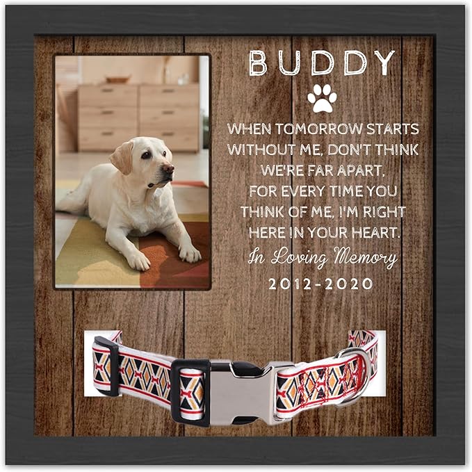 Customized Dog Memorial Gifts for Loss of Dog, Pet Memorial Gifts for Dogs, in Memory of Dog,Pet Sympathy Gifts for Dogs, Pet Memorial Gifts Cat, Dog Memorial Collar Frame, Pet Loss Gifts