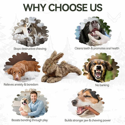 ALL FOR PAWS Classic Rabbit Squeaky Doy Toy, Bunny Dog Toy for Medium Large Breed, Puppy Fetch Toy with Squeaker, Plush Chew Dog Toy, 12.2x7.1x7.5 inches, Brown Rabbit-L