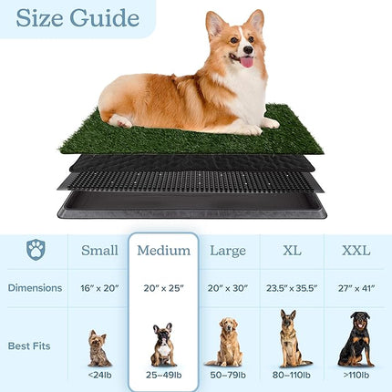 Artificial Grass Puppy Pee Pad for Dogs and Small Pets - 20x25 Reusable 4-Layer Training Potty Pad with Tray - Dog House and Pet Supplies by PETMAKER