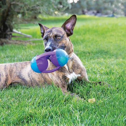 KONG Jumbler Disc Dog Toy, Medium/Large, (Model: TMD2), Large Breeds