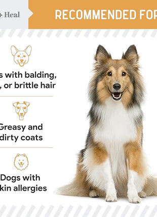 Omega 3 Fish Oil for Dogs -360 Soft Chew Omega Treats for Skin and Coat -Salmon Oil Blend of Essential Fatty Acids, Vitamins, Antioxidants, Minerals -Made in USA (2 Packs of 180, Chicken Flavor)