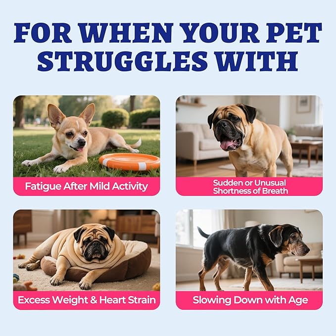 260 Bites Wellix Cardio Bites - Dog Heart Supplements - CoQ10,Taurine,Fish Oil,L-Carnitine for Dogs - Dog Health, Pet Antioxidant Supplements - for Puppy & Large Dogs