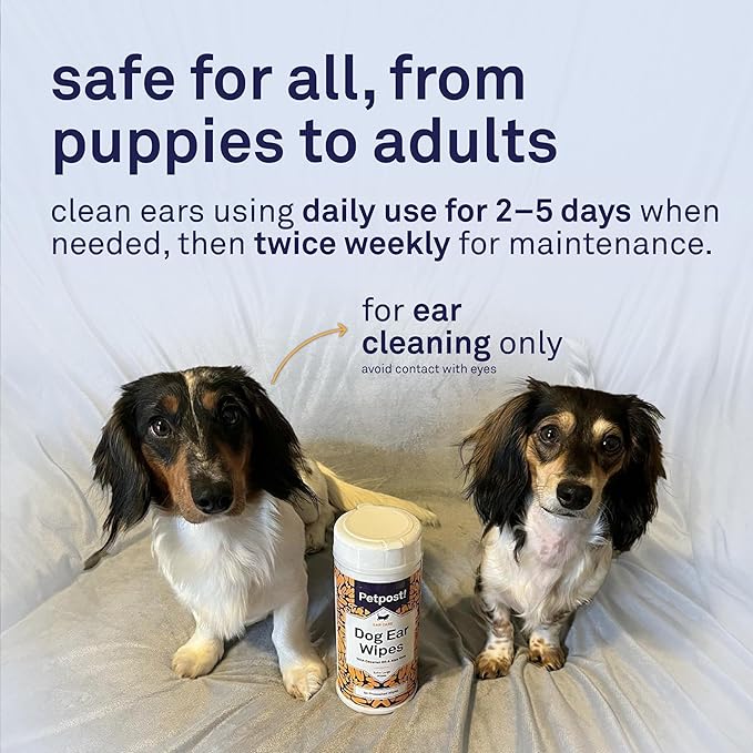 Petpost Large Dog Ear Cleaner Wipes | Ultra Soft XL Cotton Pads in Coconut Oil Aloe Solution | Remedy for Dog Ear Rinse & Cleanser 60 ct.