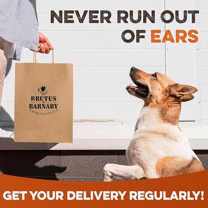 BRUTUS & BARNABY Cow Ears for Dogs – Whole Ears 30 ct, Thick Cut, Grass-Fed Angus Beef, All-Natural No-Rawhide Dog Treat Alternative