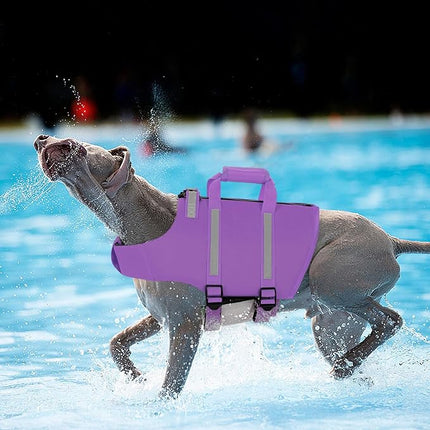 Queenmore Medium Dog Life Jacket, Dog Life Vest for Medium Dogs, Floating Dog Vests for Boating Kayaking, Pet Life Jackets for Dogs with Safety Handle Hook, Puppy Swimming Vest (Purple, M)