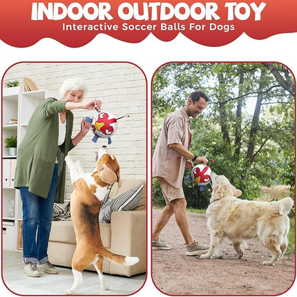 QDAN Dog Balls Toys, Dog Soccer Ball Toy Soccer Balls with with Straps, Dog Toys, Pet Puppy Birthday Gifts for Small Medium Dogs, 6 Inch, Chicken Ball