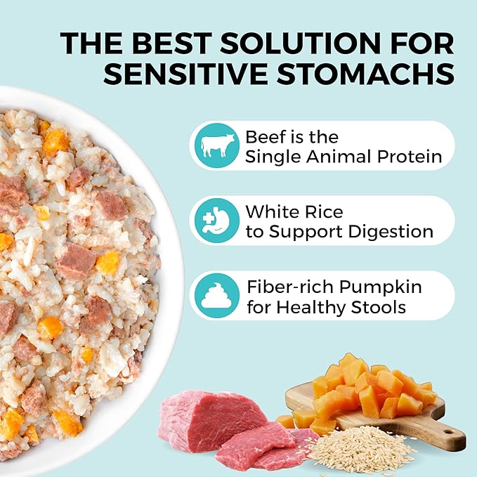 KOHA Limited Ingredient Bland Diet for Dogs, Beef and White Rice Sensitive Stomach Wet Dog Food, Sold in Over 5,000 Vet Clinics & Pet Stores, Gentle Easy to Digest Bland Diet Dog Food, Pack of 6