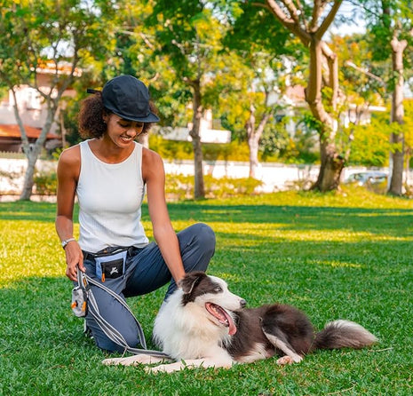 OllyDog Goodie Treat Bag, Dog Treat Pouch, Waist Belt Clip for Hands-Free Training, Magnetic Closure, Dog Training and Behavior Aids, Three Ways to Wear (Blue Heron)