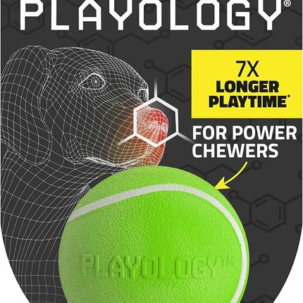 Playology Dog Toys | Squeaky Chew Ball - Bouncy Durable Floating Fetch Ball for Dogs | Medium Sweet Potato Scented Toy - Easy to Clean and Made from Non Toxic Materials