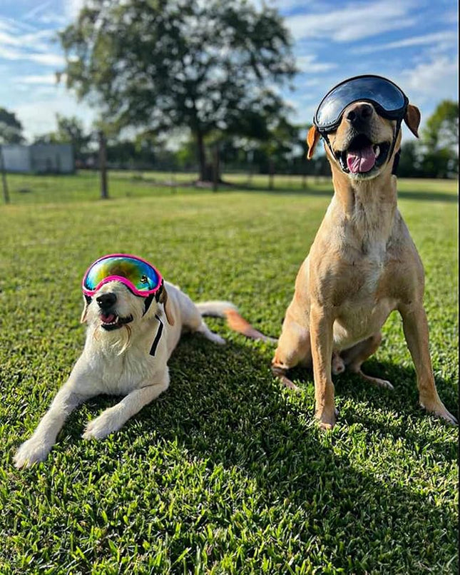 Large Dog Sunglasses, Dog Goggles Large Breed and Medium, UV Protection, Windproof, Dustproof and Snowproof. Shatterproof Lens, Adjustable Strap