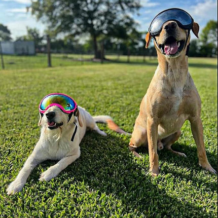 Large Dog Sunglasses, Dog Goggles Large Breed and Medium, UV Protection, Windproof, Dustproof and Snowproof. Shatterproof Lens, Adjustable Strap