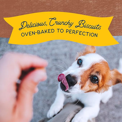 Natural Balance Limited Ingredient Rewards Crunchy Biscuits, Bite-Size Treats for Small-Breed Dogs, Made with Real Beef, 8 Ounce (Pack of 1)