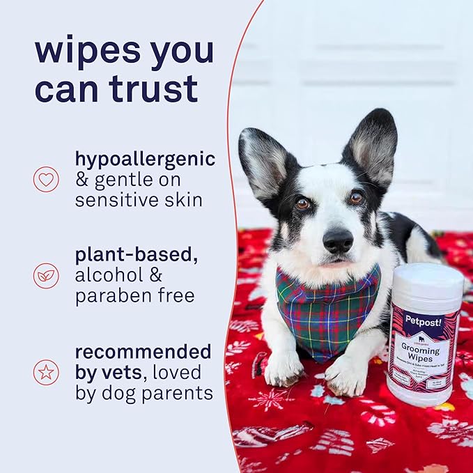 Petpost Large Grooming Wipes for Dogs | 70 Count Deodorizing Dog Cleaning Wipes with Coconut Extract & Aloe | Gentle Pet Wipes with Cherry Blossom Scent for Full-Body Grooming