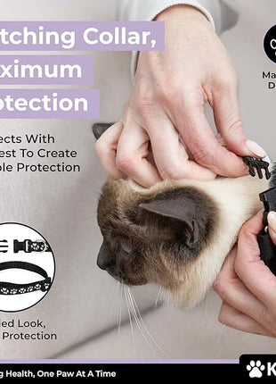 Cat Onesie for After Surgery Care - Breathable Male Female Post Surgical Recovery Suit Vest for Cats with Abdominal Wounds or Skin Issues - Soft Washable Protective Medical Clothing for Pets