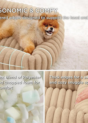 Bedsure Cute Dog Bed for Small Dogs & Cats - Washable Furry Puppy Beds, Rectangle Orthopedic Corduroy Fleece Pet Beds with Removable Zipper Cover, 20x19x6inches, Sandy Beige