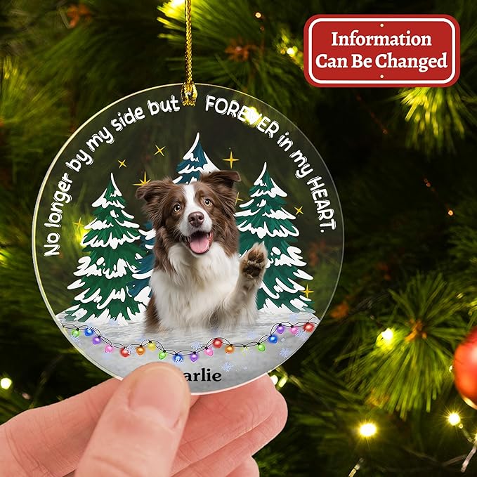 Pavo Personalized Picture Frame Pet Memorial Gifts for Dogs, Cats, Pets - Personalized Decorative Hanging Ornaments 4–6 Inches, Loss of Dog Sympathy Gift, Cat Memorial Gifts for Loss of Cat