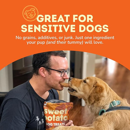 Davie's Sweet Potato Dog Treats - Healthy Dog Chews, Low Fat, Made in USA, 1 lb Bag - Pack of 5