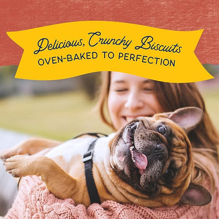 Natural Balance Limited Ingredient Rewards Crunchy Biscuits, Grain-Free Dog Treats for Adult Dogs of All Breeds, Salmon Recipe, 14 Ounce (Pack of 1)