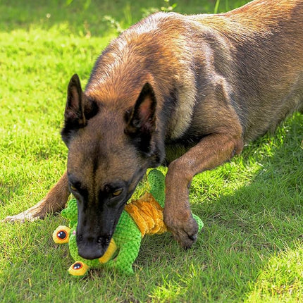 Dog Tug Toy, Durable Dog Toy for Large Breed, Tug of War Dog Squeaky Toys, Stuffed Plush Dog Toy with Crinkle Paper for Small, Middle, and Big Dogs(Frog)