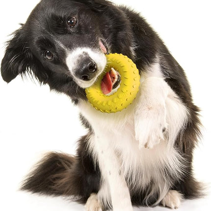 Playology Dog Toys | Dual Layer Ring Durable Chew Toy for Aggressive Chewers | Medium Chicken Scented Toy - Easy to Clean and Made from Non Toxic Materials