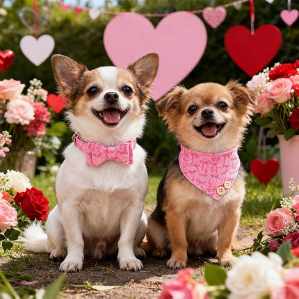 EXPAWLORER Dog Collar and Leash Set - Pink Bowknot Dog Bow Tie and Dog Bandana Collar with Bell, Dog Leash Tangle Free, Adjustable Collars for Small Medium Large Dogs Cats, Holiday Ideal Gift, S