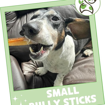 Nature Gnaws Small Bully Sticks for Dogs 5-6" (25 Count) - Long Lasting for Light Chewers and Puppies - Natural Thin Beef Dog Chew Bones - Rawhide Free