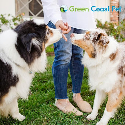 Natural Peanut Butter for Dogs Safe - 100% Healthy Dog Treats - No Sugar, Xylitol Free, Digestive Support - Puppy Dog Peanut Butter with Flaxseed 16 oz - Made in USA Premium Quality