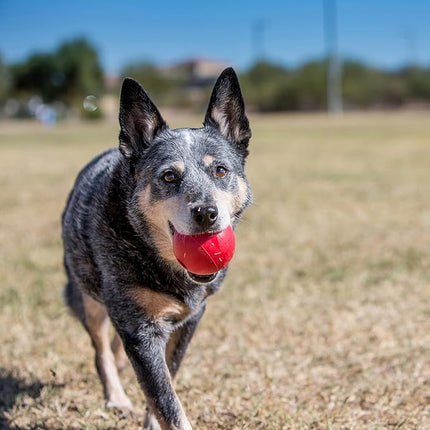 KONG Ball with Hole - Durable Dog Fetch Toy for Training, Interactive Playtime & More - Classic KONG Natural Rubber Ball - Red - For Small Dogs