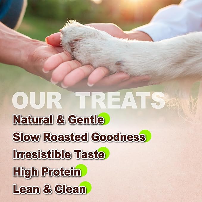 AFreschi Natural Chicken Breast Jerky 16 oz, Dog Treats, All Natural, Grain-Free, High-Protein, Low Fat, Healthy & Easily Digestible