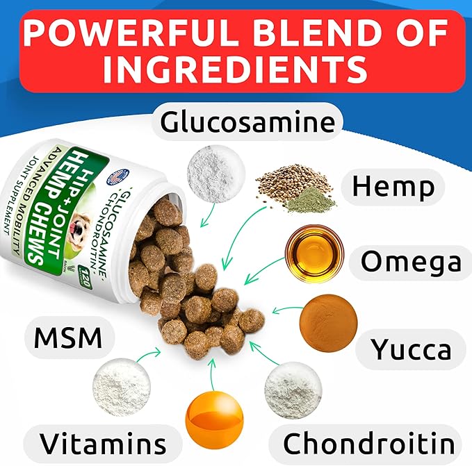 Hemp Chews Dogs Hip Joint Pain Relief - Glucosamine Chondroitin Hemp Treats for Joint Health - Dog Joint Supplement Large Breed & Small - Hemp Oil Pill - Canine Vitamin Treat Old Dog (240Ct/Bacon)