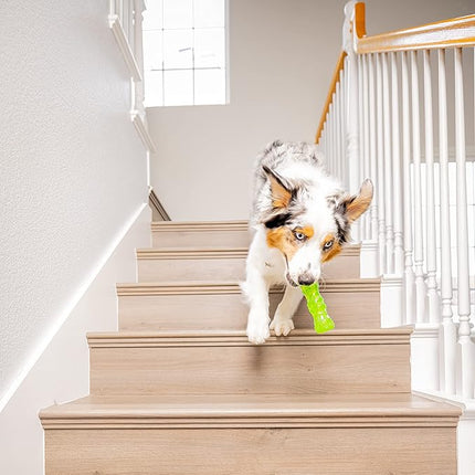 Hyper Pet DuraSqueaks Dog Toy Balls and Chews (Squeaky Dog Ball For Interactive Play – Floating Balls and Toys) - Medium Stick