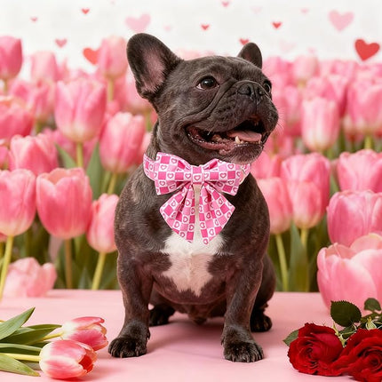 Maca Bates Valentine's Day Dog Collar with Sailor Bow for Medium Girl Boy Dogs,Checkered Pink Love Hearts Pattern,Adjustable Durable Soft Plaid Valentine Gift for Female Male Puppy