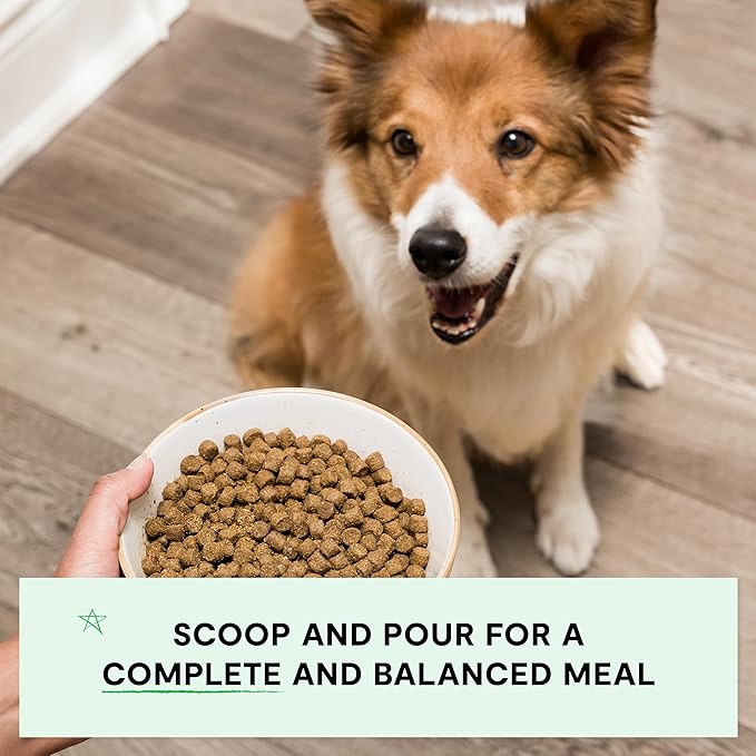 Open Farm, Grain-Free Dry Dog Food, Complete & Balanced Kibble, Sustainably & Ethically Sourced Ingredients, Non-GMO Veggies & Superfoods Support Overall Health, Pasture Raised Lamb Recipe, 22lb Bag