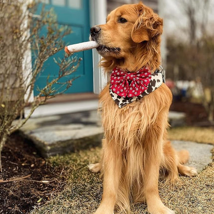 Nocciola 3 Packs Squeaky Puff Stick Toys with a Box, Funny Interactive Plush Dog Toys, Pitbull Husky Frenchie Pug Stuffed Puppy Toys for Small to Medium Breed, Dog Accessories Boy Gift