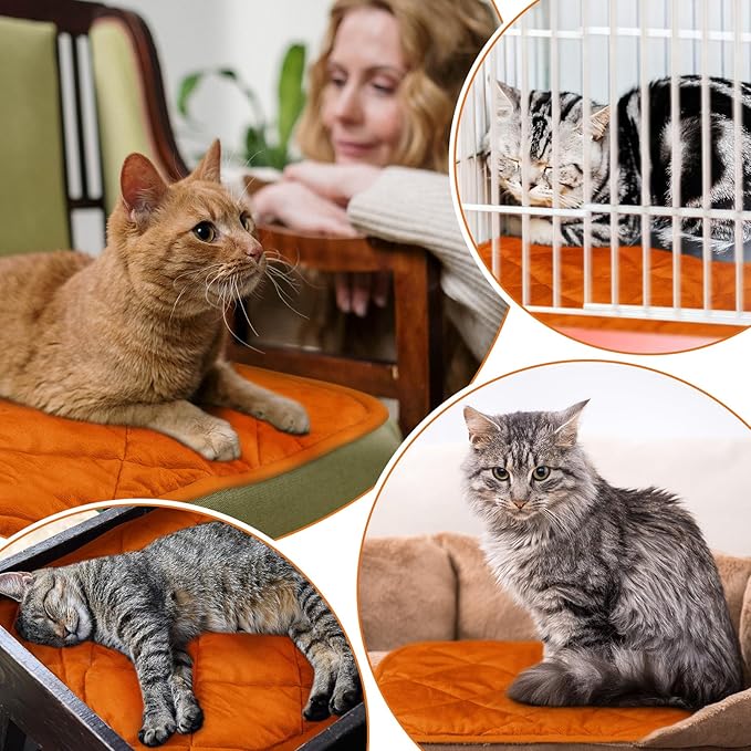 4 Pack Self Heating Cat Pad Self Warming Dog Mat Reflects Body Heat Extra Warm Thermal Pet Pad Washable Dog Cat Bed Crate Bed Mat Blanket(Orange,16 x 20 Inch)