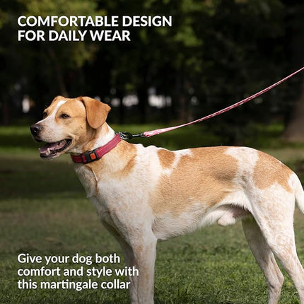 CollarDirect Martingale Dog Collar with Stainless Steel Chain and Quick Release Buckle - Reflective Collar for Large, Medium, Small Dogs - Dark Red, Large (Neck Size 17"-22")