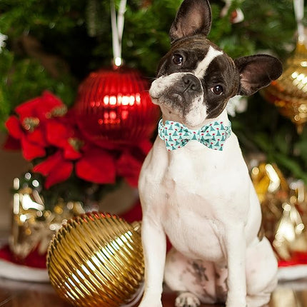 ARING PET Christmas Dog Collar with Bow, Cute Xmas Green Christmas Tree Bowtie Pet Collars for Puppy Small Medium Large Girl Boy Dogs-M