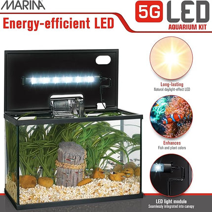 Marina 5 Gallon (19 L) LED Aquarium Kit – Ideal for Beginner Aquarists and New Fish-Keepers