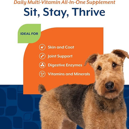 NaturVet All-in-One Dog Supplement - for Joint Support, Digestion, Skin, Coat Care – Dog Multivitamins with Minerals, Omega-3, 6, 9 – Wheat-Free Vitamins for Dogs – 60 Soft Chews