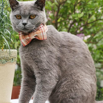 Lionet Paws Dog and Cat Collar with Bowtie Grid Collar Plastic Buckle Light Adjustable Collars for Small Medium Large Dogs