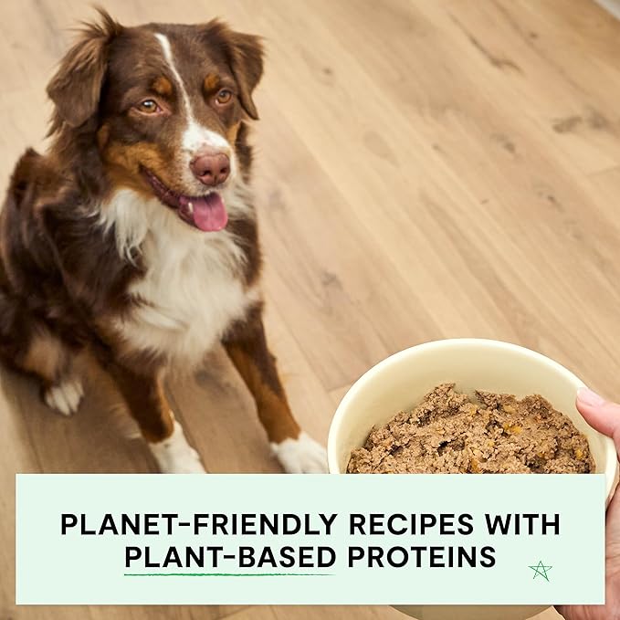 Open Farm Canned Dog Food, Plant Based Paté for Complete & Balanced Nutrition, Non-GMO Ancient Grains, Lentils and Vegetables, Plant Based Recipe, 12.5oz Cans (Pack of 12)