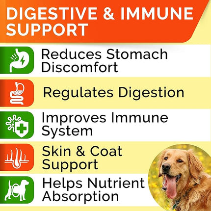 STRELLALAB Dog Probiotics Chews + Enzymes Gut Health Support - Anti Gas, Diarrhea and Upset Stomach Immune Supplement - Digestion Treats with Fiber (180Ct, Chicken)